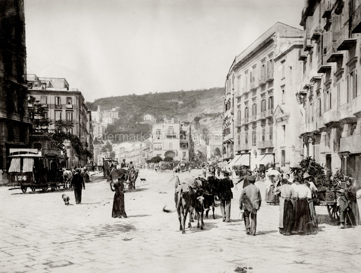 Naples Italy Riviera di Chiaia Street Scene City Life Tram Vtg. Photo 19thC.