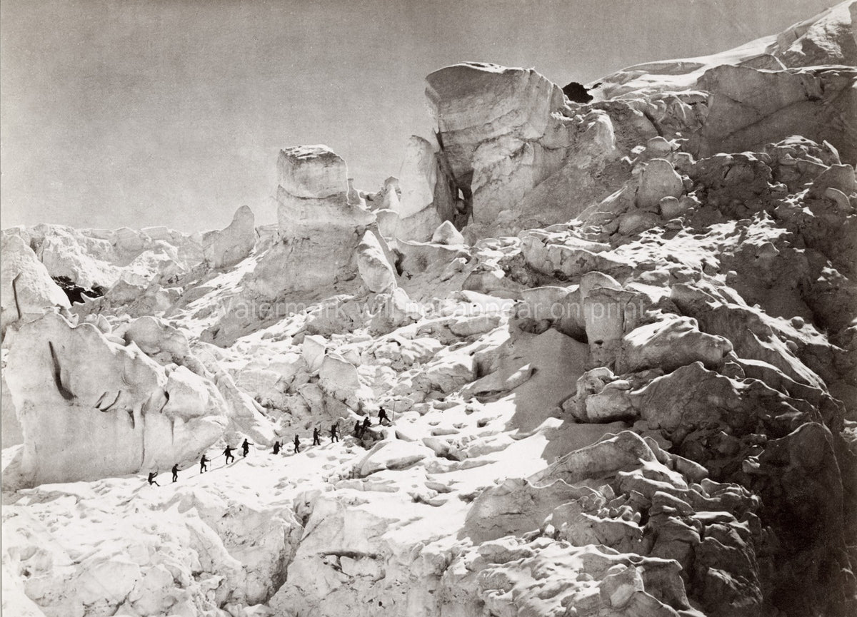 Climbing Alps Roped Mountaineers Glacier Ice Snow Vtg. Photo 19thC.