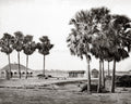Benares Varanasi India Palm Trees Landscape Riverfront View Vtg. Photo 19thC.