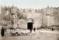 Jerusalem Damascus Gate Old City Wall Shepherd Sheep Israel Vtg. Photo 19thC.