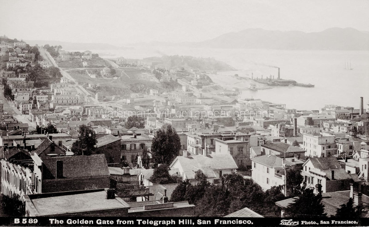 San Francisco Telegraph Hill View Golden Gate Bay Cityscape Vtg. Photo 19thC.