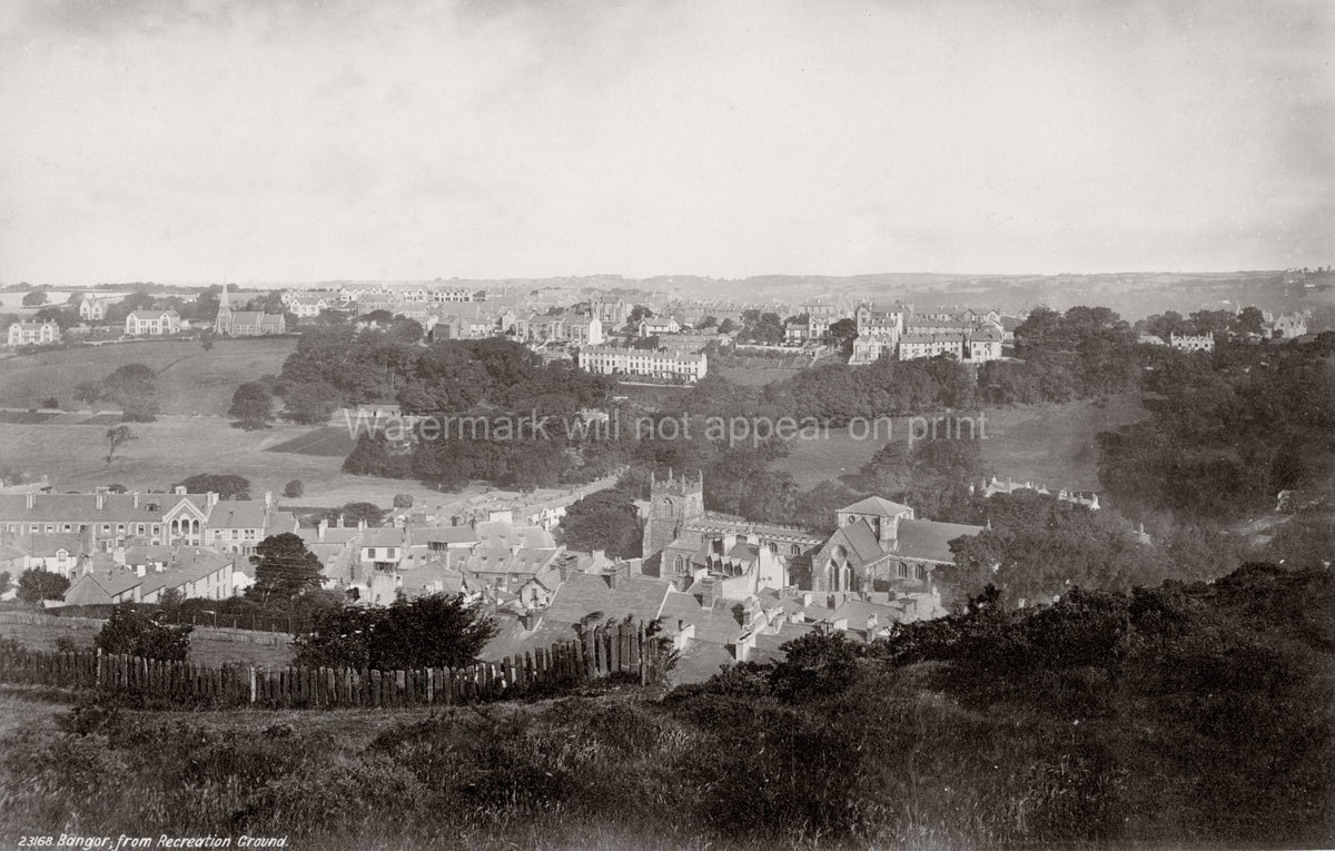 Bangor Wales Cityscape View Cathedral University Vtg. Photo 19thC.