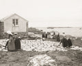 Reykjavik Iceland Women Drying Fish Coastal Harbor Workers Vtg. Photo 19thC.