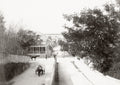 Nassau Bahamas Street Scene Colonial Architecture Horse Cart Vtg. Photo 19thC.