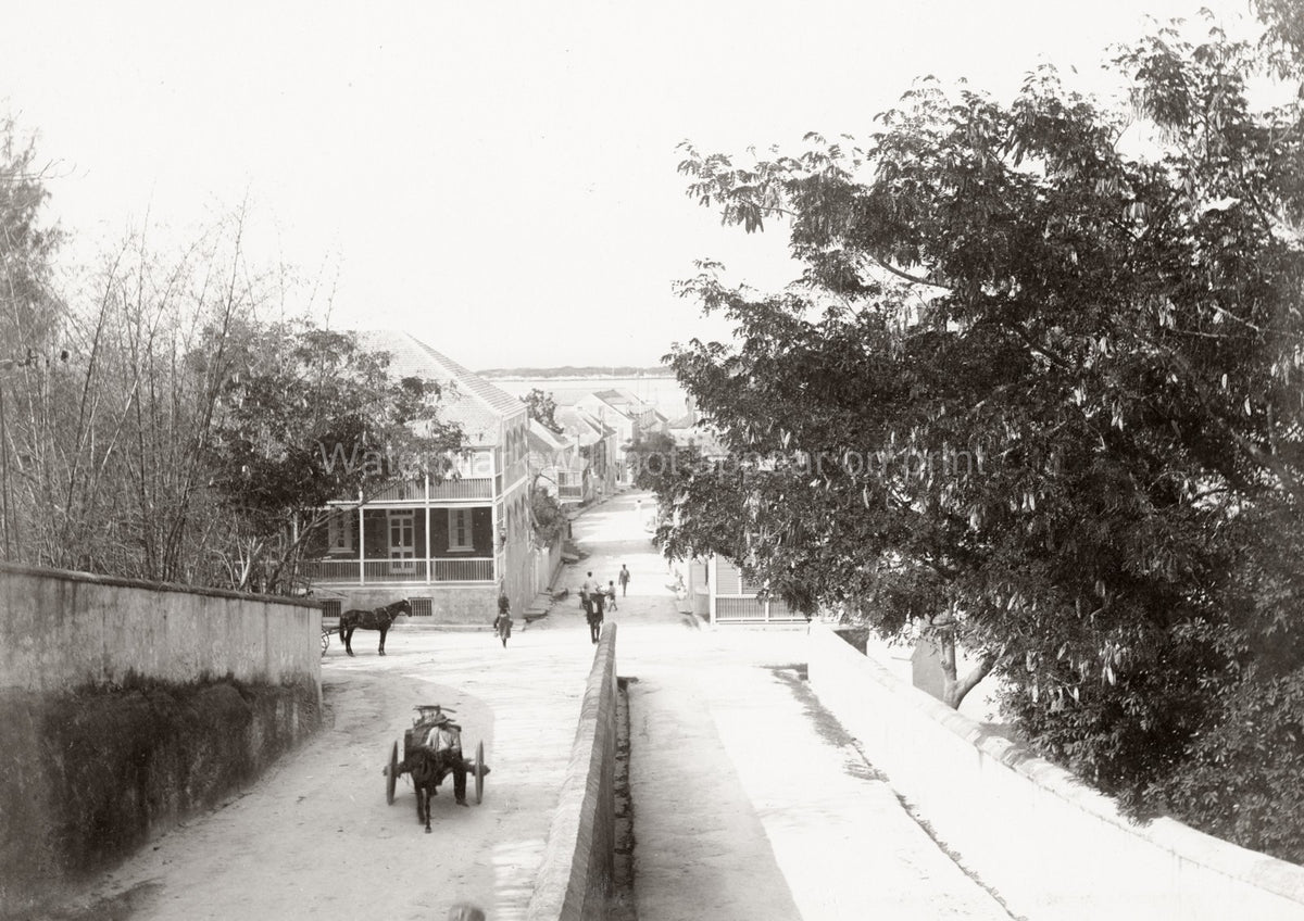 Nassau Bahamas Street Scene Colonial Architecture Horse Cart Vtg. Photo 19thC.