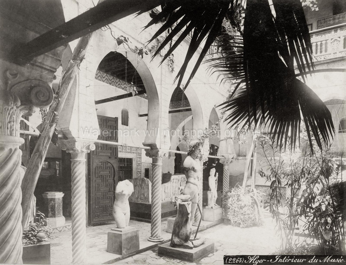 Algiers Algeria Museum Interior Courtyard Statues Architecture Vtg. Photo 19thC.