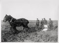 WW1 British Guards Division Soldiers Ploughing Ground Horses Vtg. Photo