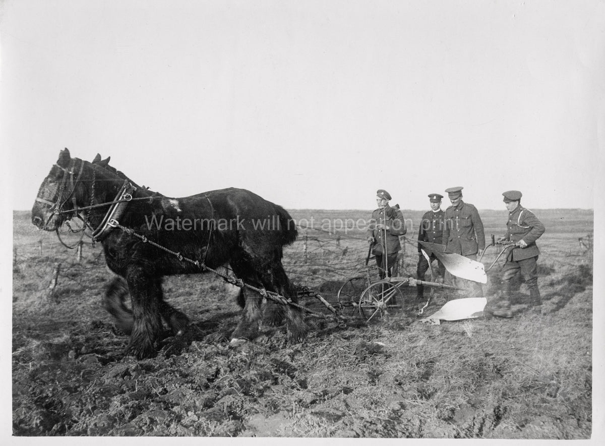 WW1 British Guards Division Soldiers Ploughing Ground Horses Vtg. Photo