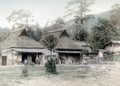 Japan Country Scene Farmers Field Thatched Roof Farmhouse Vtg. Photo 19thC.