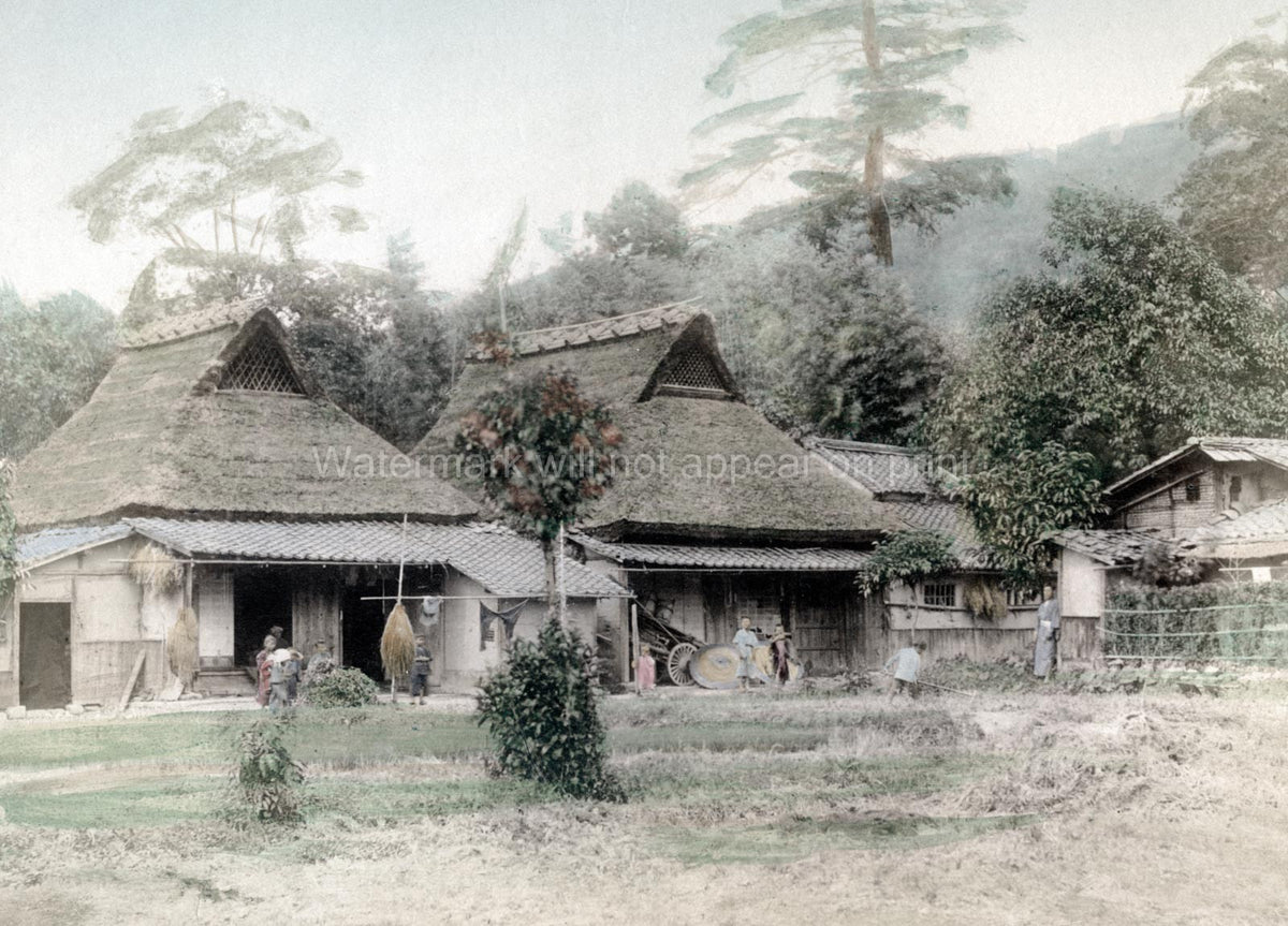 Japan Country Scene Farmers Field Thatched Roof Farmhouse Vtg. Photo 19thC.