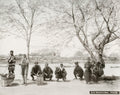 Mukojima Tokyo Porters Cherry Blossoms Sakura River Scene Vtg. Photo 19thC.