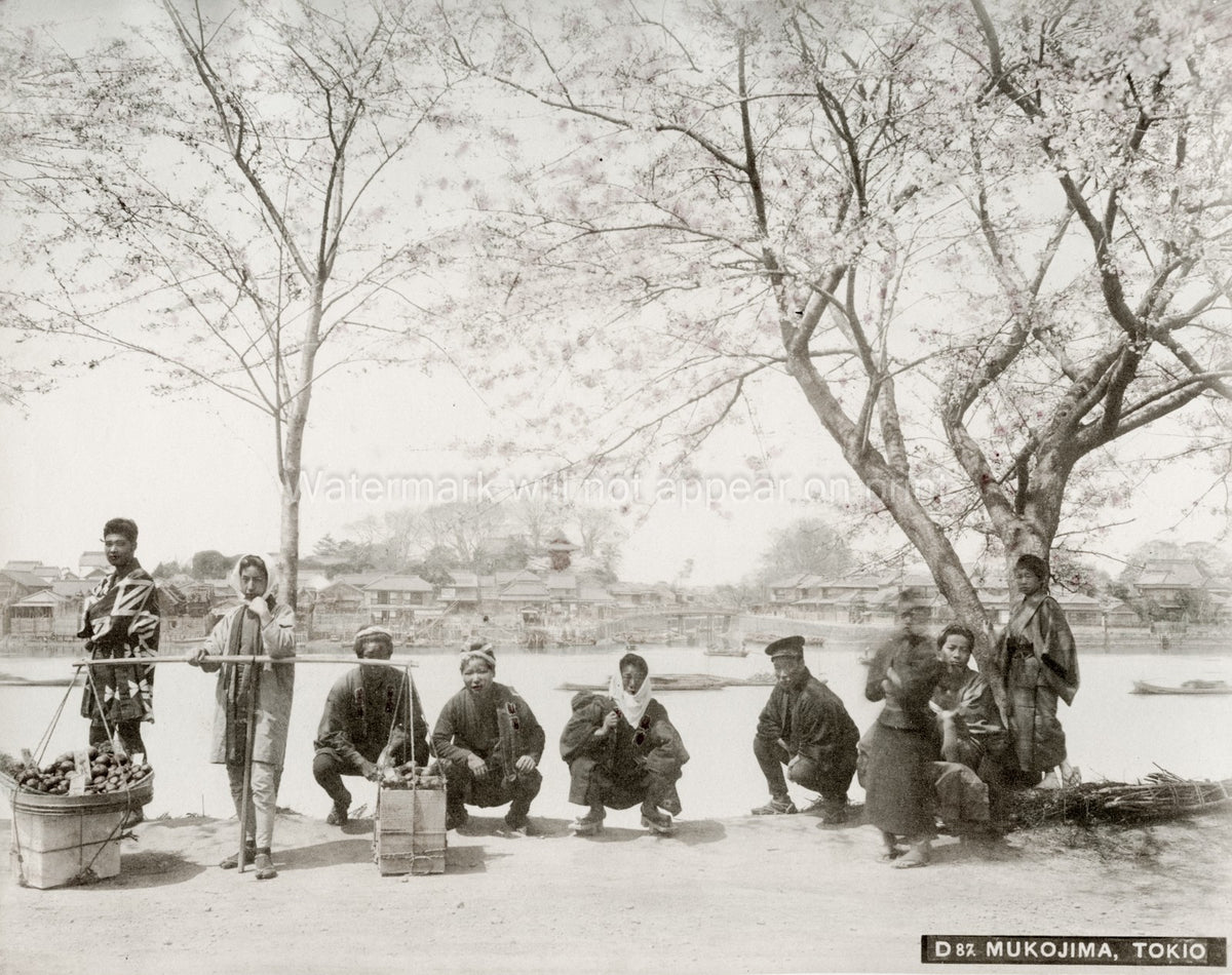 Mukojima Tokyo Porters Cherry Blossoms Sakura River Scene Vtg. Photo 19thC.
