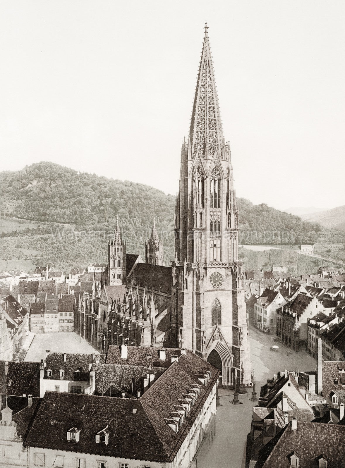 Freiburg Cathedral Germany Gothic Architecture Spire City View Vtg. Photo 19thC.