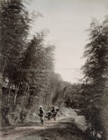 Japan Rickshaw Bamboo Grove Man Pulling Passenger Path Forest Vtg. Photo 19thC.