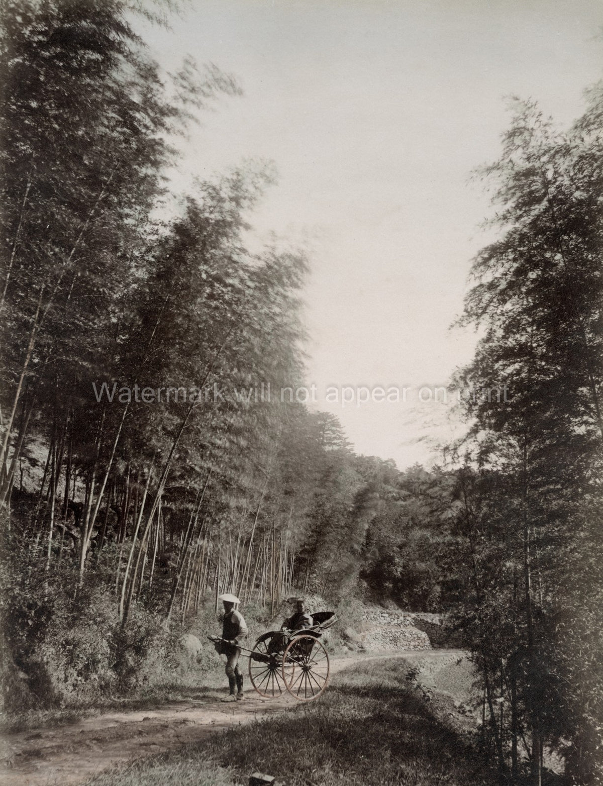 Japan Rickshaw Bamboo Grove Man Pulling Passenger Path Forest Vtg. Photo 19thC.