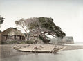 Honmoku Japan Fishing Boats Fishermen Coastal Village Thatched Vtg. Photo 19thC.