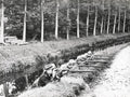 French Soldiers Defending Canal WW1 Military Rifles Forest Vtg. Photo