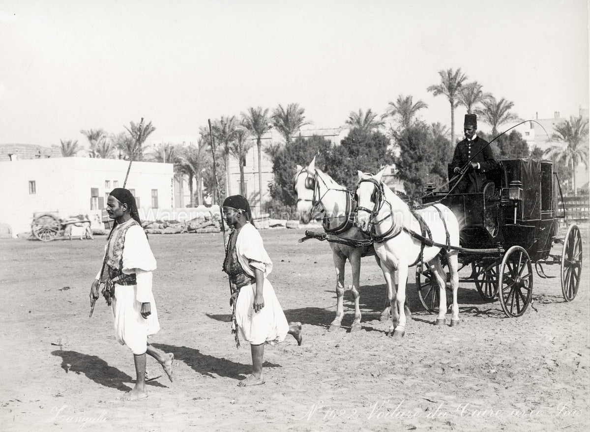 Zangaki Studio Cairo Egypt Horse Carriage Footmen Palm Trees Vtg. Photo 19thC.