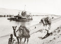 Suez Canal Egypt Camels Dredger Steamship Waterway Men Vtg. Photo 19thC.