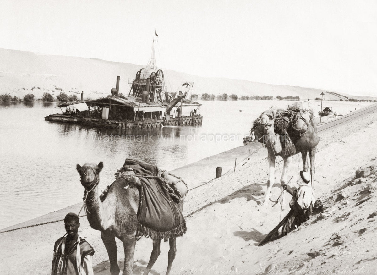 Suez Canal Egypt Camels Dredger Steamship Waterway Men Vtg. Photo 19thC.