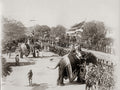 India Procession Elephants Parade Crowd Soldiers Flags Vtg. Photo 19thC.
