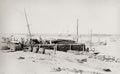 Cossack Western Australia Pier Ship Unloading Workers Dock Vtg. Photo 19thC.