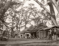 Tokaido Road Japan Travelers Thatched Roof Village Pine Trees Vtg. Photo 19thC.