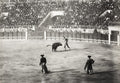 Cordoba Spain Bull Fighting Matador Bullring Arena Crowd Vtg. Photo 19thC.