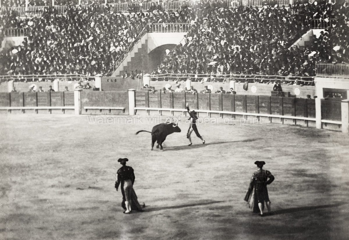 Cordoba Spain Bull Fighting Matador Bullring Arena Crowd Vtg. Photo 19thC.