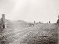China Ming Tombs Avenue Stone Figures Statues Sculpture Road Vtg. Photo 19thC.