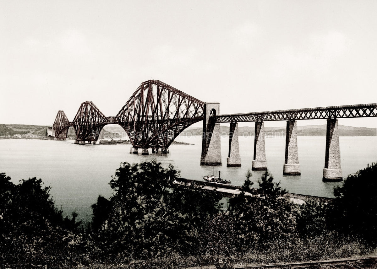 Scotland Forth Rail Bridge River Cantilever Engineering Vtg. Photo 19thC.