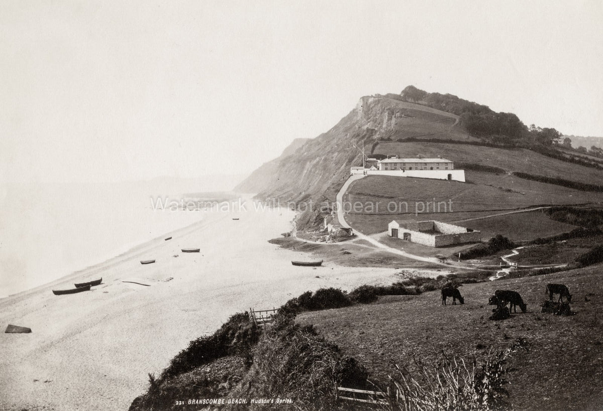 Branscombe Beach Devon Coastal Cliffs Cows Boats Seascape Vtg. Photo 19thC.