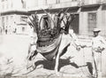 Havana Cuba Fruit Seller Horse Sugarcane Street Vendor Market Vtg. Photo 19thC.