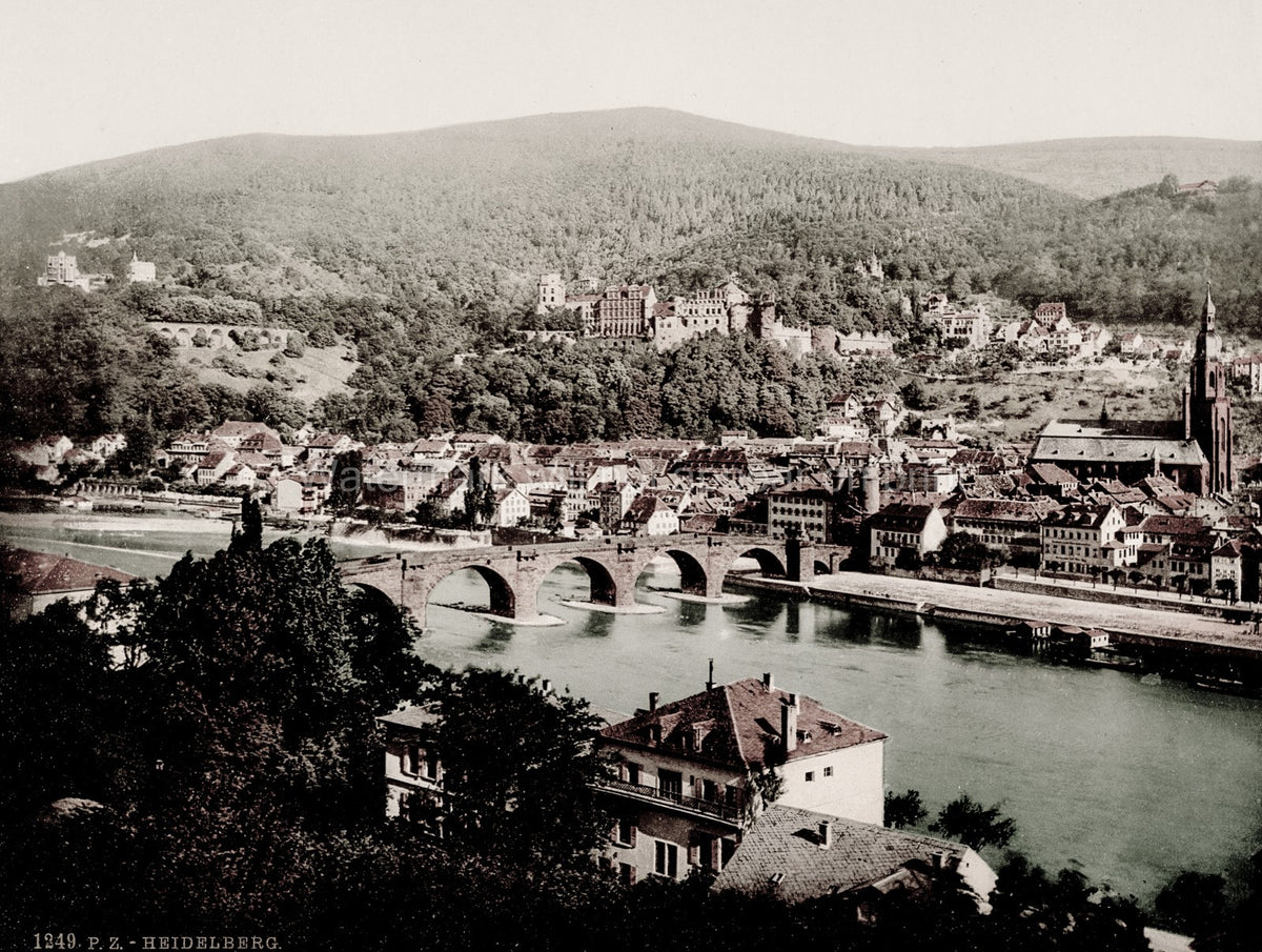 Heidelberg Germany Cityscape Old Bridge Neckar River Castle Vtg. Photo 19thC.
