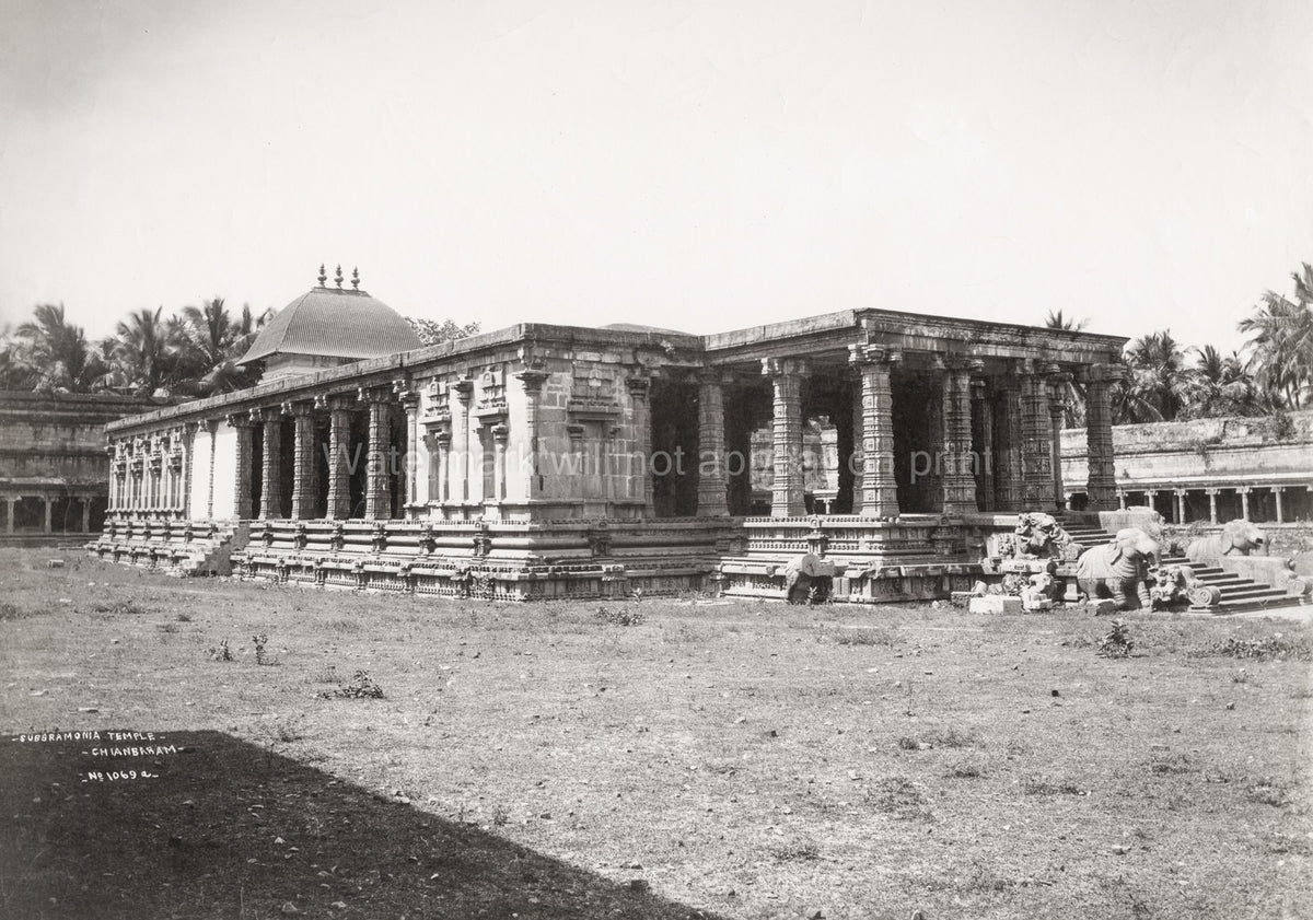 Chidambaram Subramanya Temple Architecture Pillars Sculpture Vtg. Photo 19thC.