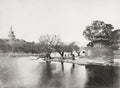 Peking Imperial City Beijing China Pagoda Lake Pavilion Trees Vtg. Photo 19thC.