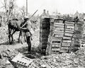France Sentry Box Made Carriers WW1 Soldier Donkeys Mud Vtg. Photo