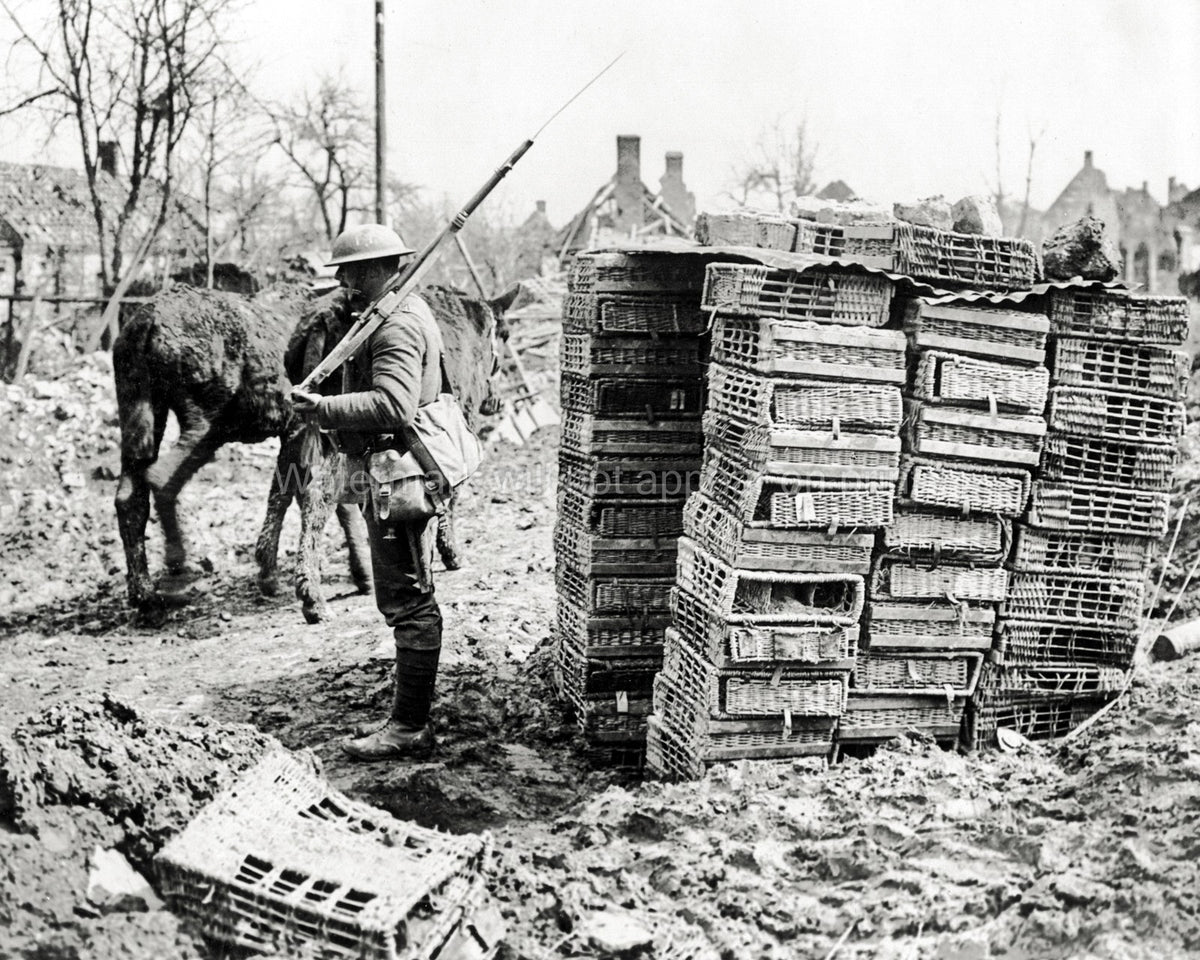 France Sentry Box Made Carriers WW1 Soldier Donkeys Mud Vtg. Photo