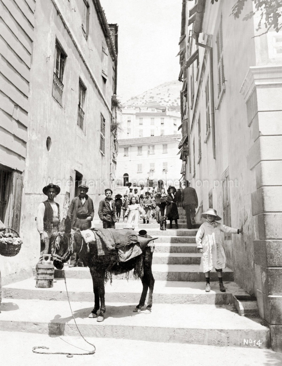 Gibraltar Donkey Street Scene People Steps Buildings Vtg. Photo 19thC.
