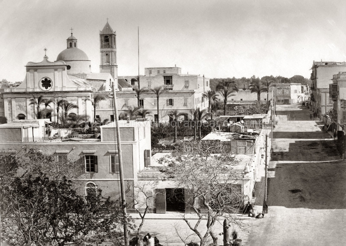 Alexandria Egypt Street View Church Bell Tower Palm Trees Vtg. Photo 19thC.