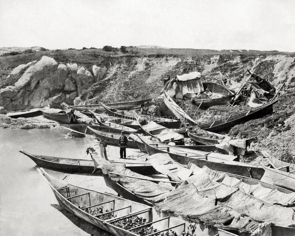 Indigenous Dugout Canoes Vancouver Island Pacific Coast People Vtg. Photo 19thC.