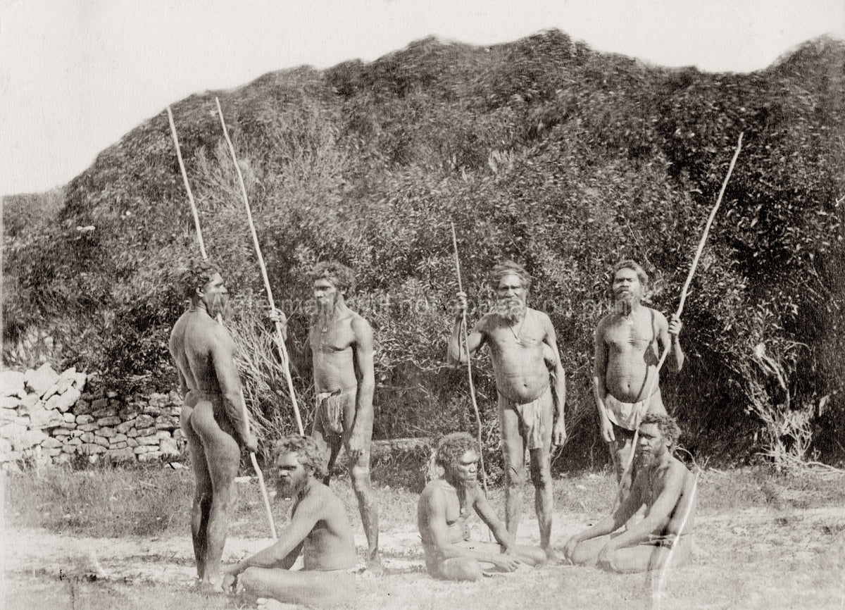 NW Australia Aboriginal Men Group Indigenous Spears Tribal Vtg. Photo 19thC.
