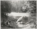 Men Canoeing On A River In Snowy Woods Forest Adventure Vtg. Photo 20thC.