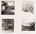China Chinese People Hunters Family Harbor Village Life Scenes Vtg. Photo 19thC.