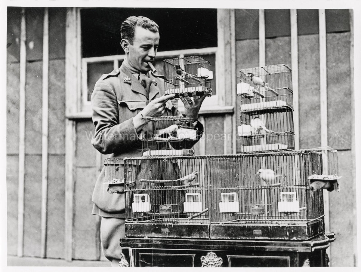 WW1 Officer Tends German Roller Canaries Cages France Military Vtg. Photo