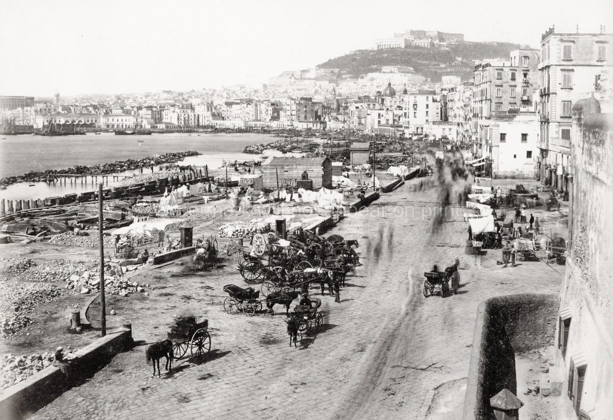 Naples Italy Harbour Busy Street Scene Carriages Waterfront Vtg. Photo 19thC.