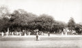 India Tennis Match Spectators Garden Party Lawn Trees Vtg. Photo 19thC.