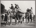 Calcutta India Drum Elephants Procession Men Riders Parade Vtg. Photo 20thC.