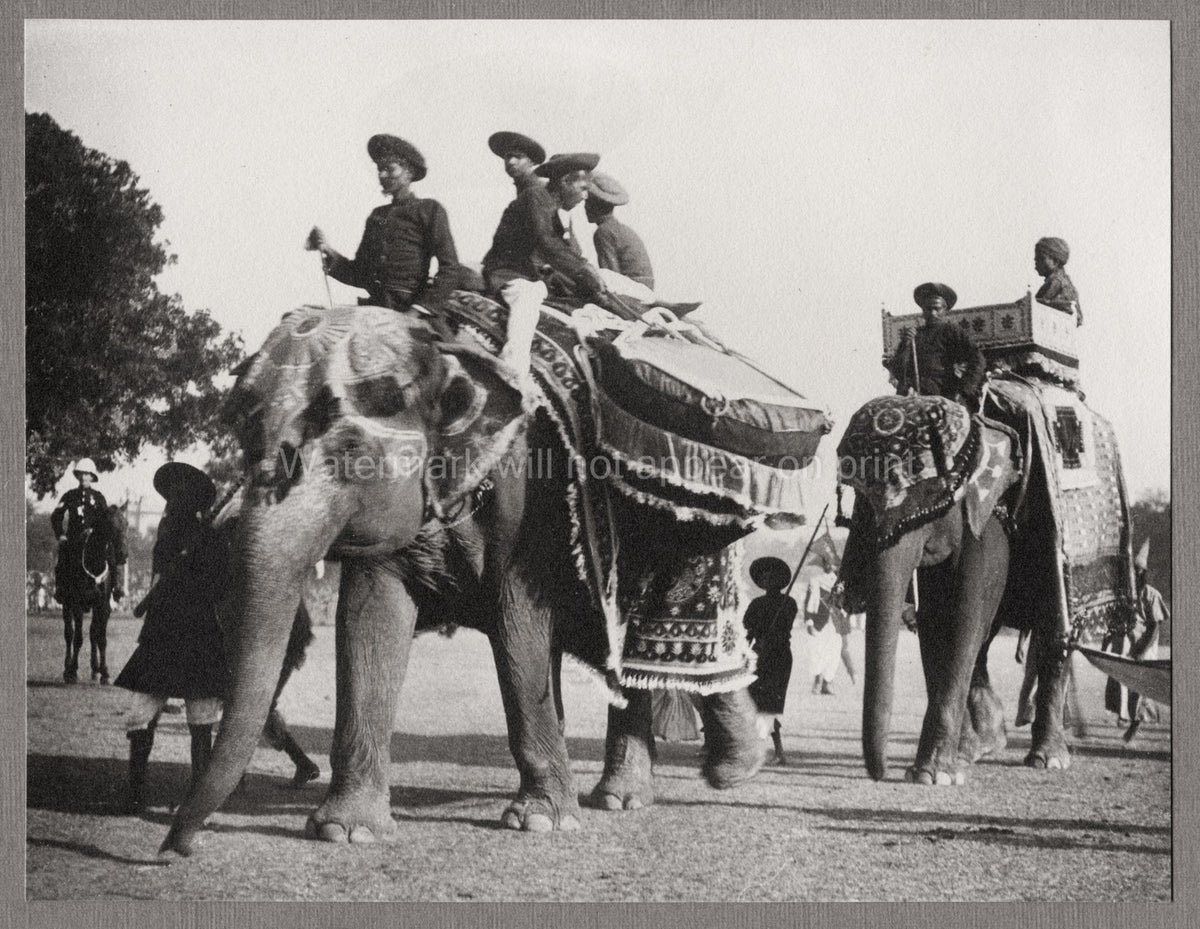 Calcutta India Drum Elephants Procession Men Riders Parade Vtg. Photo 20thC.