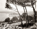 Nice France Harbor Port Coastline Cityscape French Riviera Vtg. Photo 19thC.